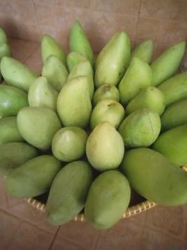 Mango Fotos de archivo