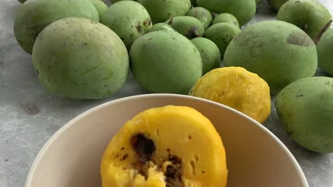Mango Pulp Weevil, Malaysia Stock Footage 140553937