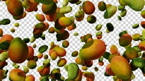 Mango Set Explosion Stock Photos