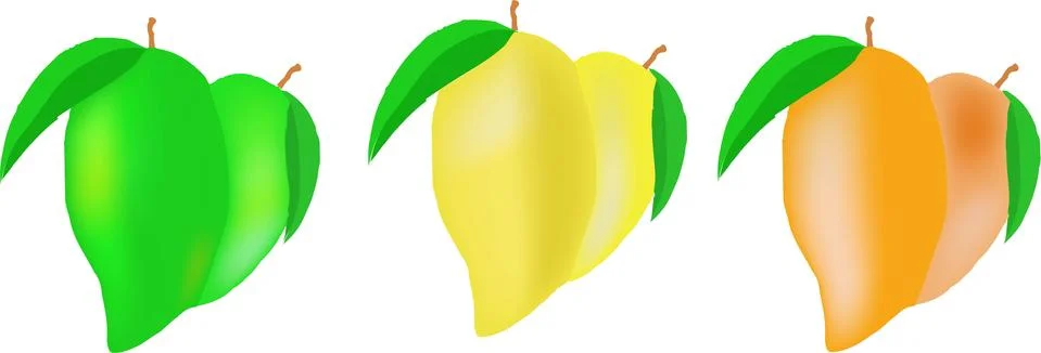Mango set on white background Stock Illustration