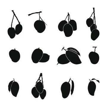Mango silhouettes, Mango fruit vector icon. Stock Illustration