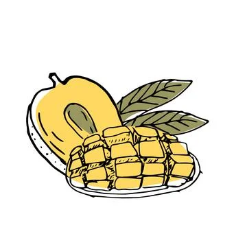 Mango sliced and half fruit ink sketch illustration イラスト素材