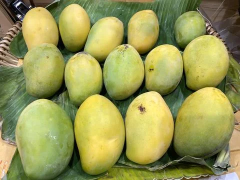 Mango stacks Stock Photos