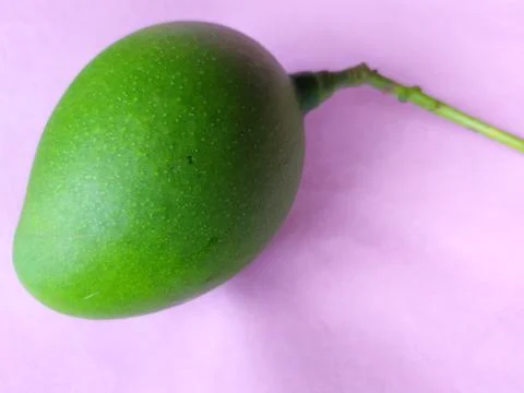 Mango with stems on colour background. Stock Photos