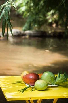 Mango on table under tree, vegetarian concept Stockfoto's