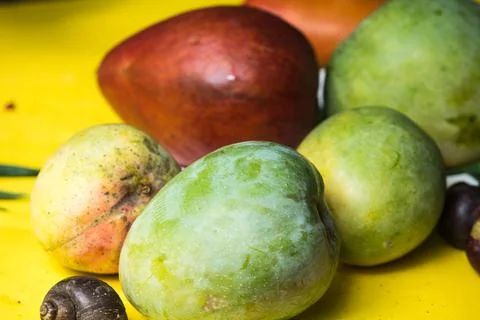 Mango on table under tree, vegetarian concept 스톡 사진