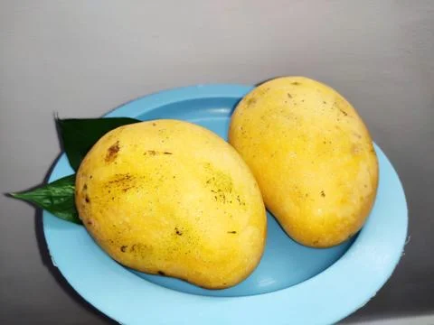 Mango on Textured bg  Stock Photos