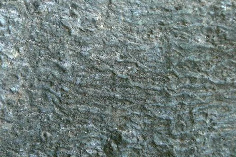 Mango tree bark texture Stock Photos