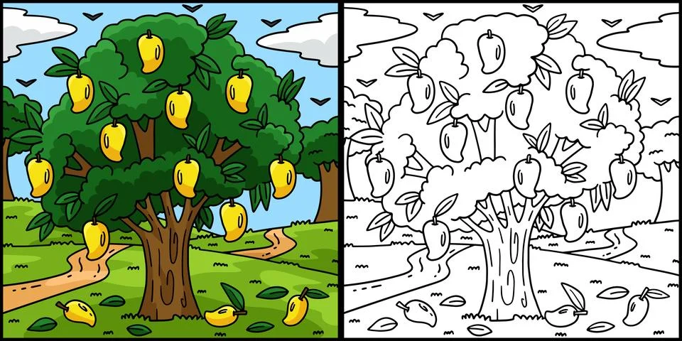 Mango Tree Fruit Plant Coloring Page Illustration Stock Illustration