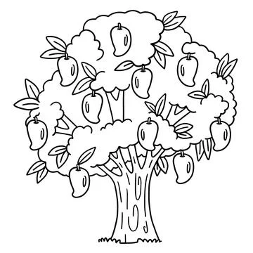 Mango Tree Fruit Plant Isolated Coloring Page Stock Illustration