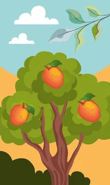 Mango tree plant landscape 스톡 일러스트