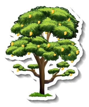 A mango tree sticker on white background Stock Illustration