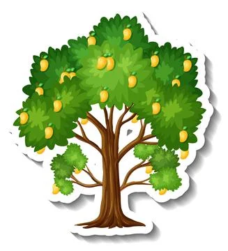 Mango tree sticker on white background Stock Illustration
