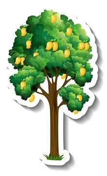 Mango tree sticker on white background Stock Illustration
