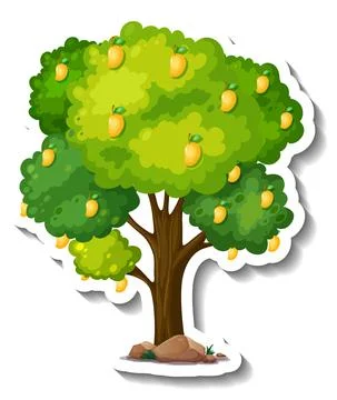 Mango tree sticker on white background 스톡 일러스트