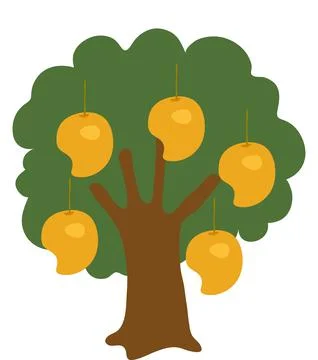 Mango Tree stock illustration Stock Illustration