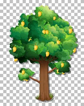 Mango tree on transparent background Stock Illustration