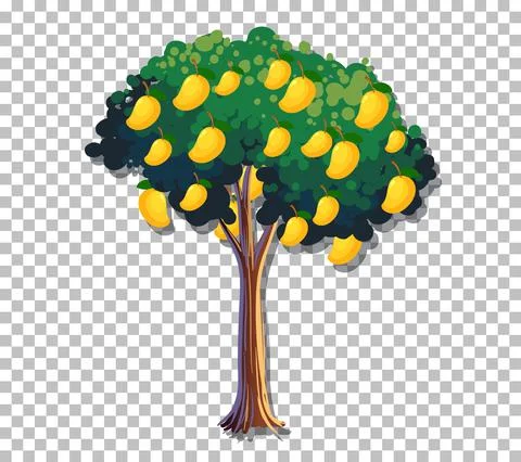 Mango tree on transparent background 스톡 일러스트