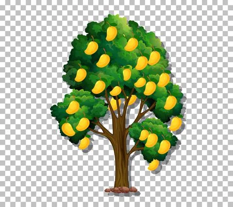 Mango tree on transparent background 스톡 일러스트