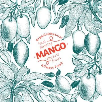Mango tree vintage design template. Botanical mango fruit frame. Engraved man Stock Illustration