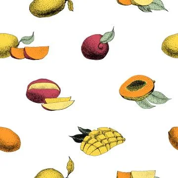 Mango tree vintage seamless pattern. Botanical mango fruit background. Engr.. Stock Illustration