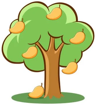 Mango tree on white background 스톡 일러스트