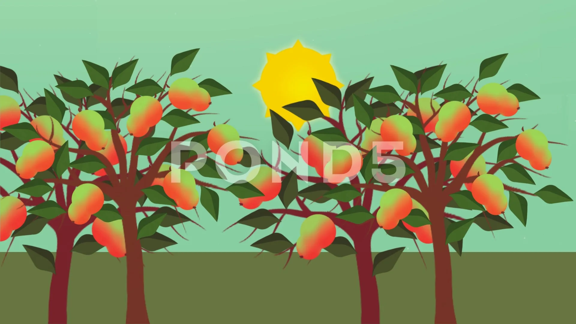 Mango Trees - Vector Animation - Photos... | Stock Video | Pond5