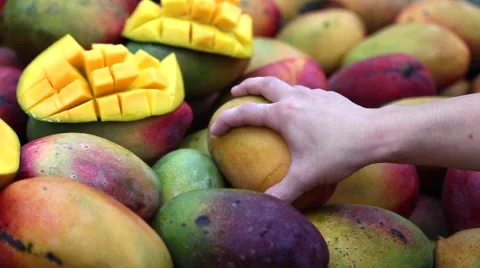 Mango, tropical fruit 스톡 동영상 62442368