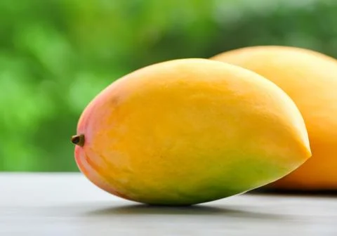 Mango tropical fruit Stock Photos