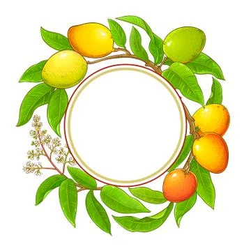 Mango vector frame Stock Illustration