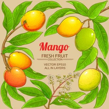 Mango vector frame Stock Illustration