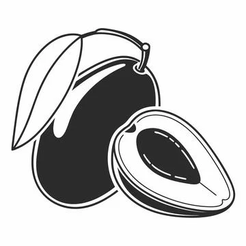 Mango Vector Illustration Simple Flat Fruit Desig vector illustration design  Stock Illustration