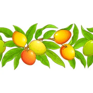 Mango vector pattern Illustrazione stock