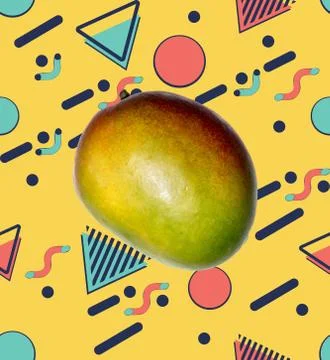 Mango vintage geometric patterns 스톡 일러스트