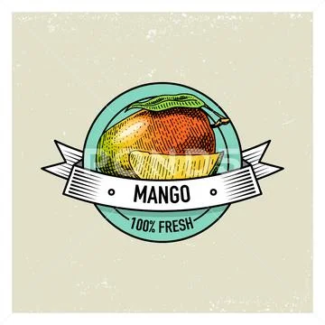 Mango Vintage, hand drawn fresh fruits background, summer plants, vegetarian and Stock Illustration