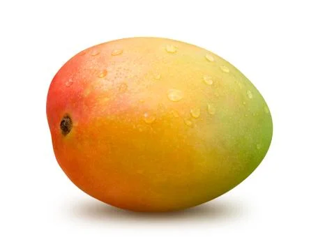 Mango with water drops Stock Photos