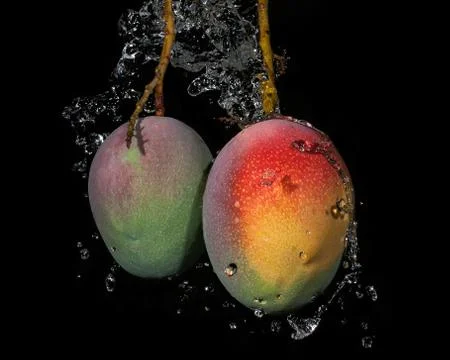 Mango with water splash on black background Foto stock