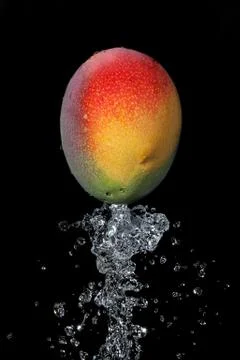 Mango with water splash Stock Photos