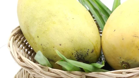 Mango on white back ground rotating Stock Footage 118115630