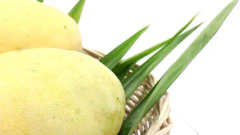 Mango on white back ground rotating Stock Footage 118115645