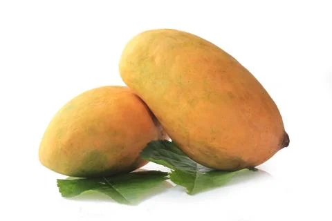 Mango on white Background Foto stock