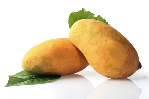 Mango on white Background Foto stock