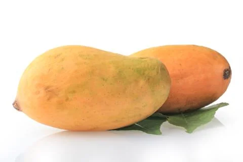 Mango on white Background 스톡 사진