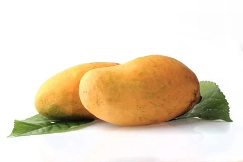 Mango on white Background 스톡 사진