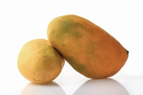 Mango on white Background Foto stock