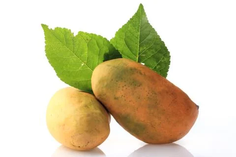 Mango on white Background 스톡 사진