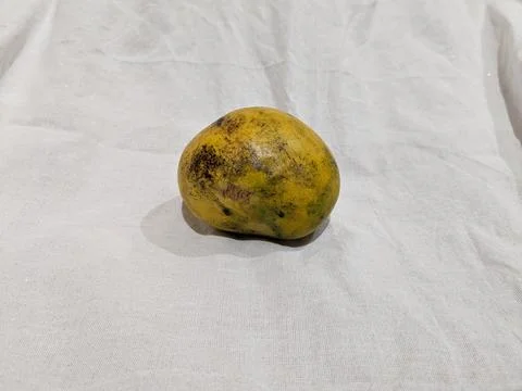 Mango on the white background Stock Photos