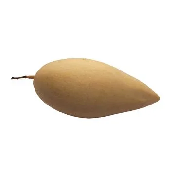 Mango  on white background Stock Photos