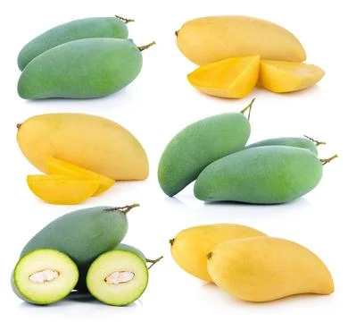 Mango on white background Stock Photos