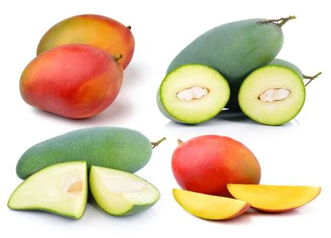 Mango on white background Stock Photos